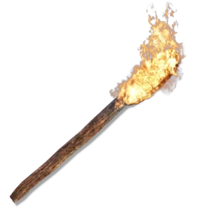 Torch