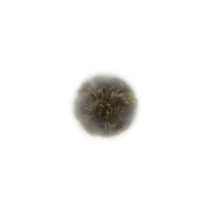 Golden Rune 2