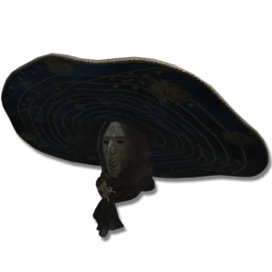 Preceptor's Big Hat
