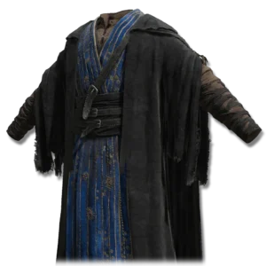 Preceptor's Long Gown