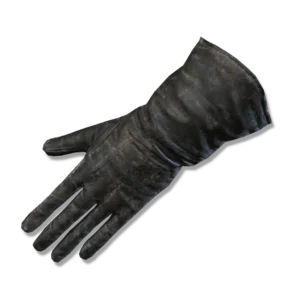 Preceptor's Gloves