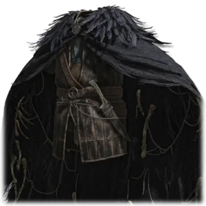 Raptor's Black Feathers