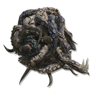 Octopus Head