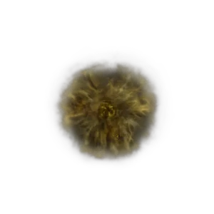 Golden Rune 10