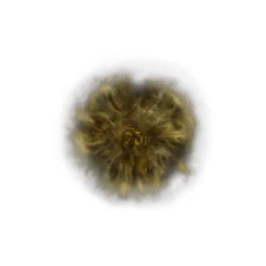 Golden Rune 11