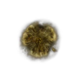 Golden Rune 12