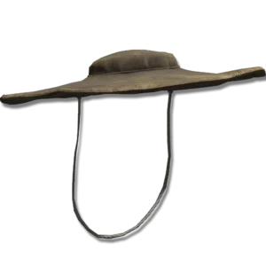 Dane's Hat