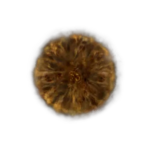 Numen's Rune