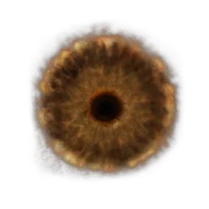 Lord's Rune