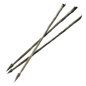 Bone Arrow