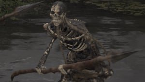 Skeleton