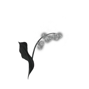 Grave Glovewort 1