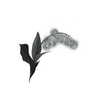 Grave Glovewort 4