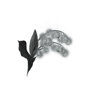 Grave Glovewort 5