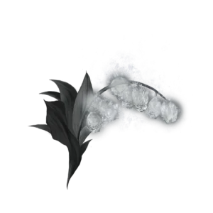 Grave Glovewort 7