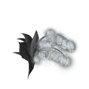 Grave Glovewort 8