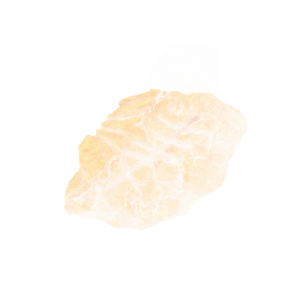 Scriptstone