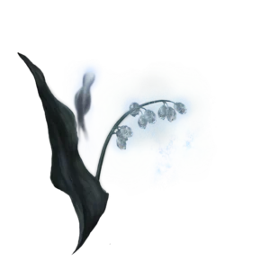 Ghost Glovewort 1