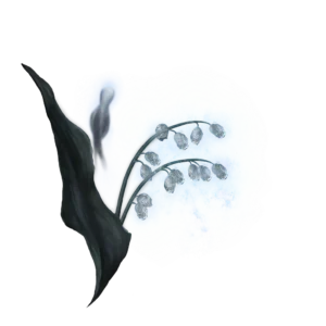 Ghost Glovewort 2