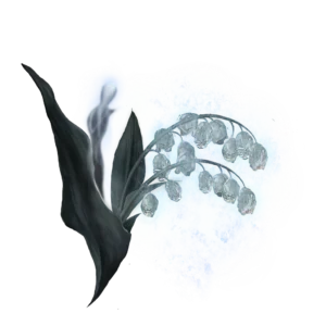 Ghost Glovewort 5