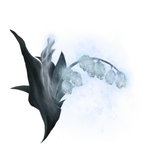 Ghost Glovewort 7