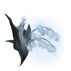 Ghost Glovewort 8