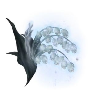Ghost Glovewort 9