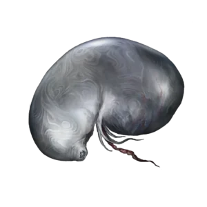 Larval Tear (Spirit)