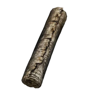 Secret Rite Scroll