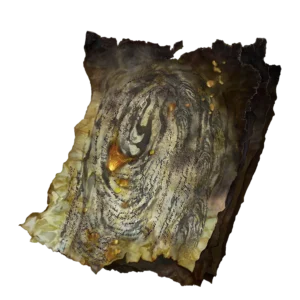 Mad Craftsman's Cookbook 1