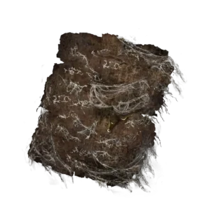 Forager Brood Cookbook 6
