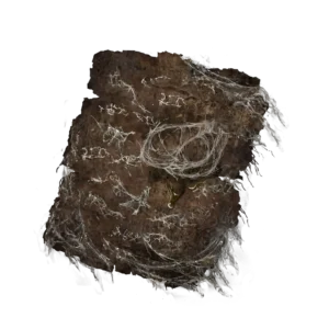 Forager Brood Cookbook 5