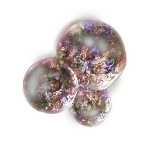 Speckled Hardtear