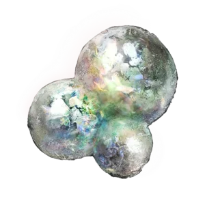 Opaline Hardtear