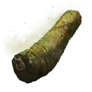 Pickled Turtle Neck