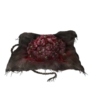 Raw Meat Dumpling