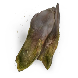Immunizing White Cured Meat
