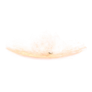 Rune Arc