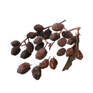 Rowa Raisin