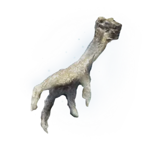 Silver-Pickled Fowl Foot