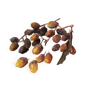 Sweet Raisin