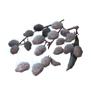 Frozen Raisin