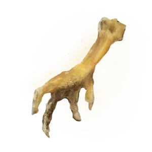 Gold-Pickled Fowl Foot