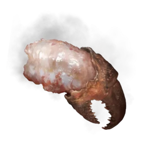 Boiled Crab