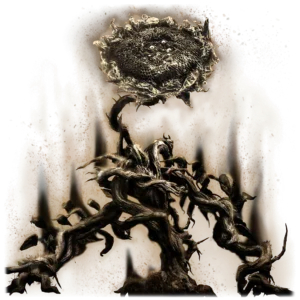Remembrance of the Shadow Sunflower