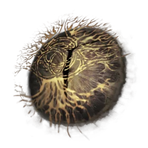 Iris of Grace