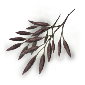 Spirit Raisin