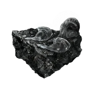 Polter Stone