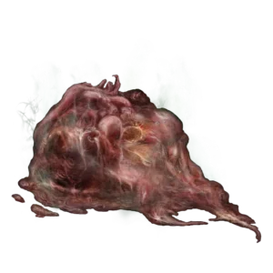 Innard Meat