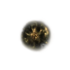 Shadow Realm Rune 1